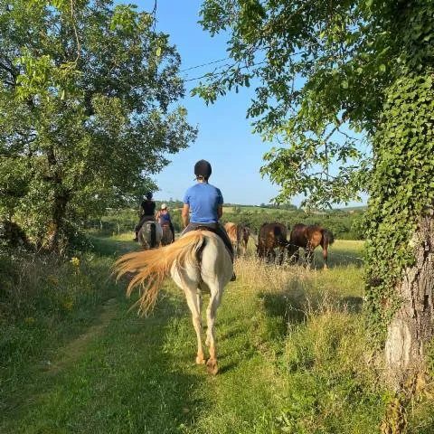 Image qui illustre: Domaine De Pradié