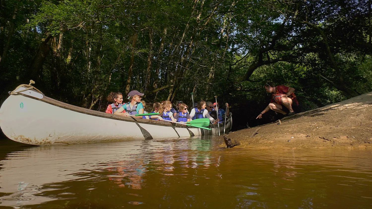 Image qui illustre: Balade guidée en canoë collectif sur la Leyre à Le Teich - 0