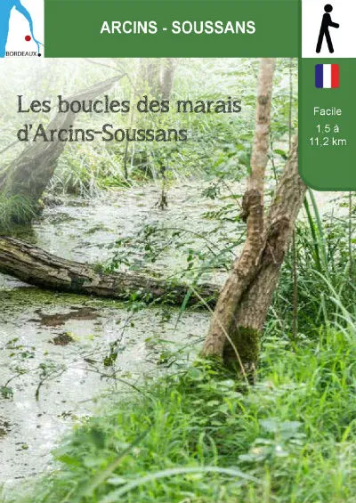 Image qui illustre: Les boucles des marais d'Arcins-Soussans à Soussans - 0