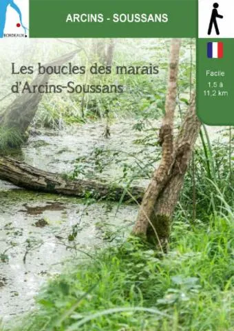 Image qui illustre: Les boucles des marais d'Arcins-Soussans
