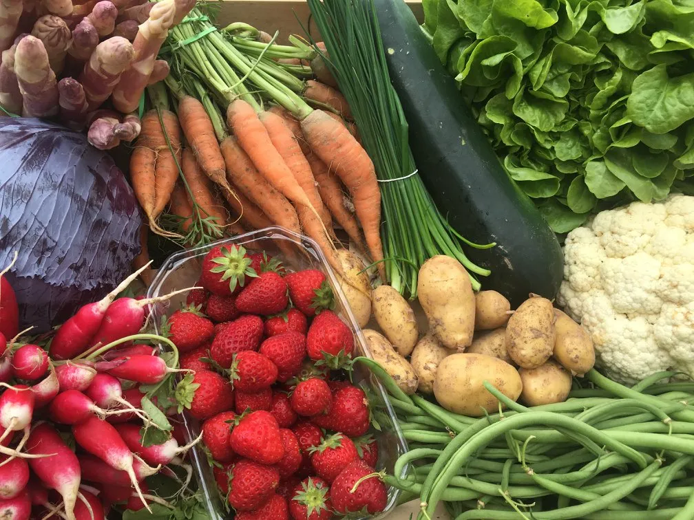 Image qui illustre: Les Saveurs Maraîchères à Lavacquerie - 0