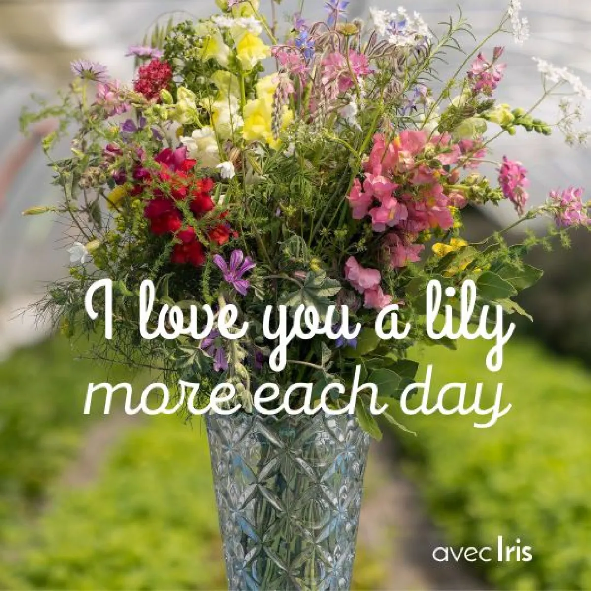 Image qui illustre: Composez votre bouquet de fleurs fraîches à Clapiers - 0