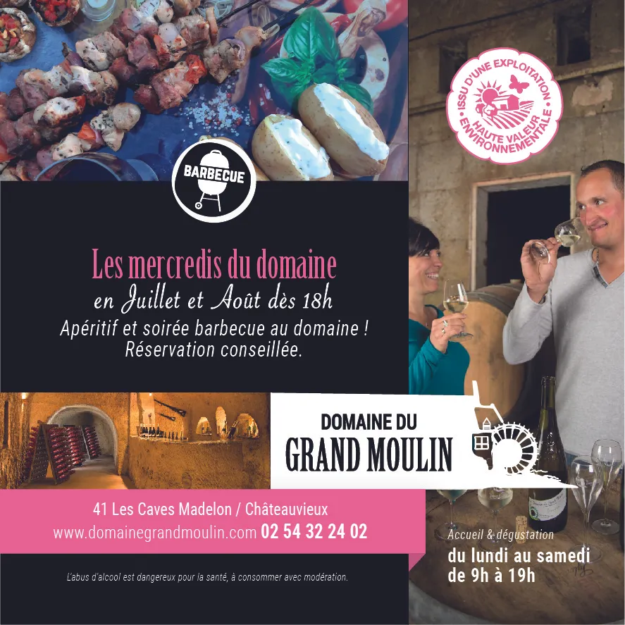 Image qui illustre: Domaine Du Grand Moulin Seneau Et Fils à Châteauvieux - 1