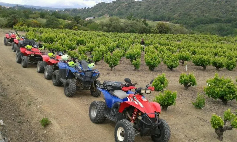 Image qui illustre: Les Vignerons En Terres Plurielles