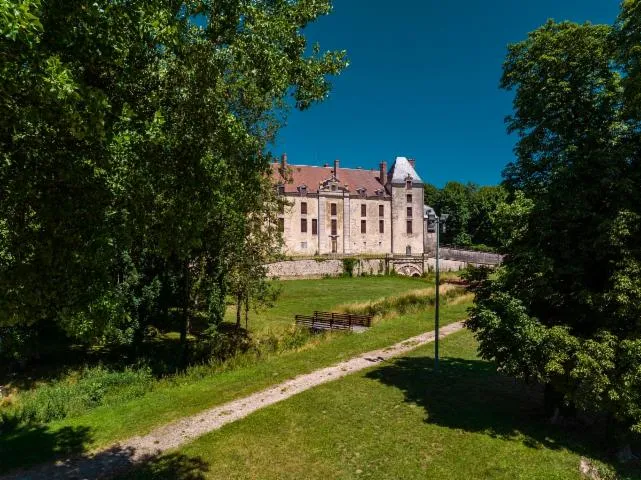 Image qui illustre: Château De Vendeuvre-sur-barse