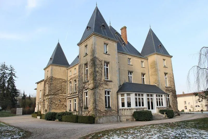 Image qui illustre: Val De Meurthe - Château D'adoménil à Mont-sur-Meurthe - 1