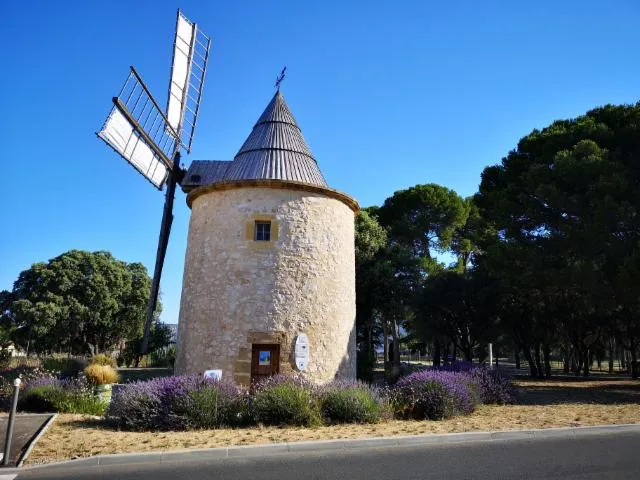 Image qui illustre: Le moulin à vent de Bertoire
