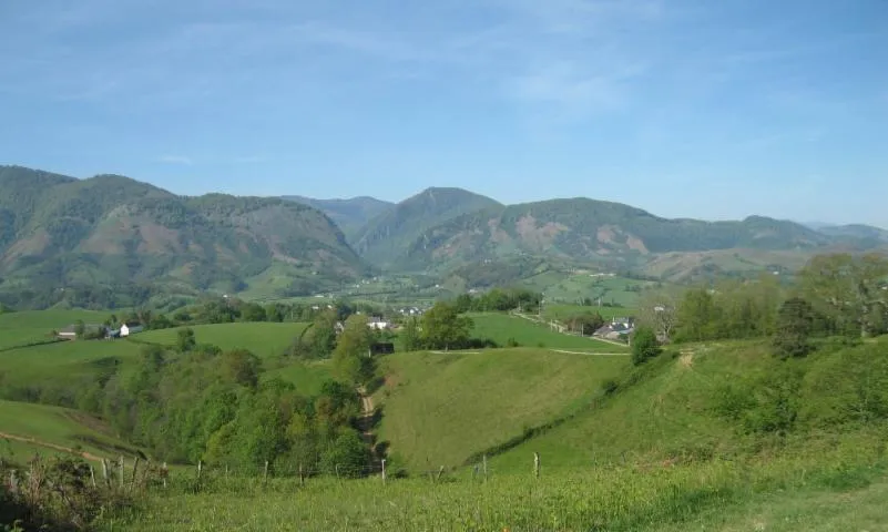 Image qui illustre: Le sentier découverte du bois du Calvaire