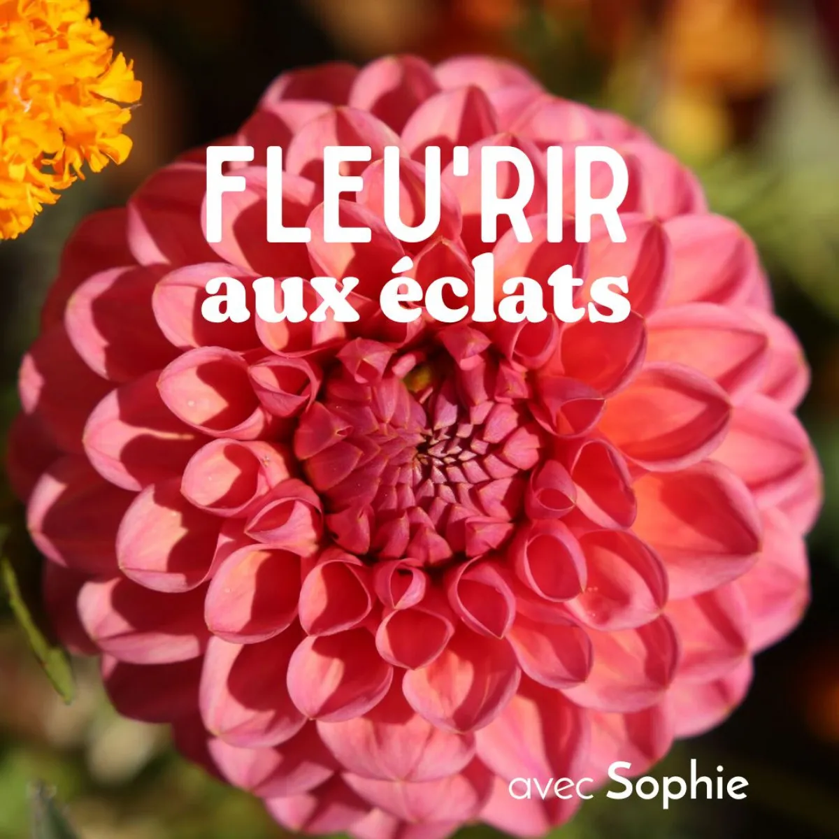 Image qui illustre: Composez votre bouquet au sein d'une ferme florale à Neulise - 0