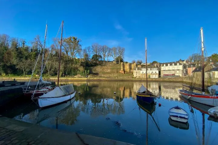 Image qui illustre: Port Saint-Goustan