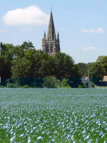 Image qui illustre: Visite guidée de l'Eglise Saint Léger de Socx