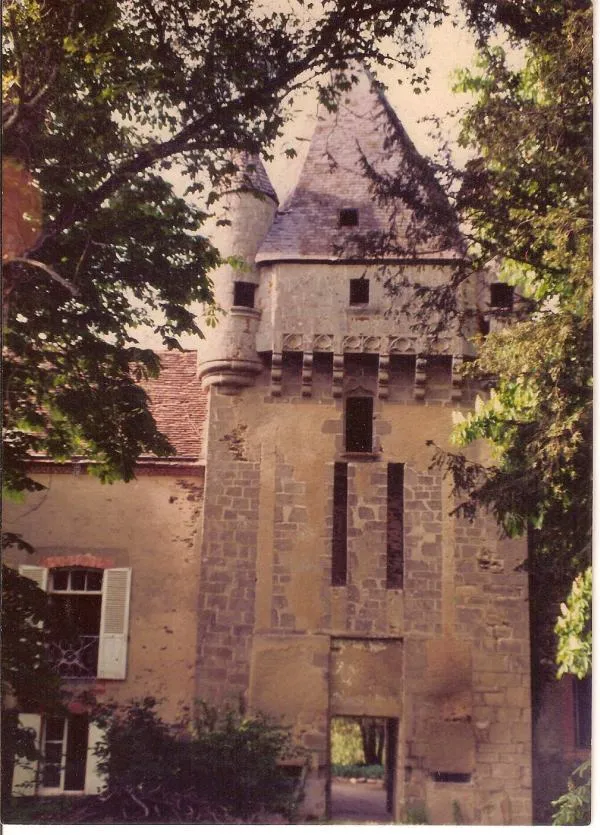 Image qui illustre: Château Du Plaix Joliet à Lourdoueix-Saint-Michel - 1