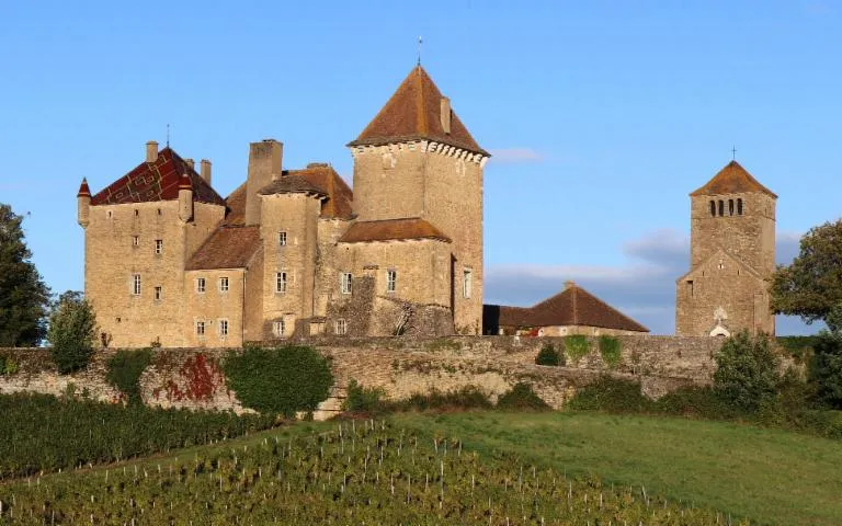 Image qui illustre: Château De Pierreclos