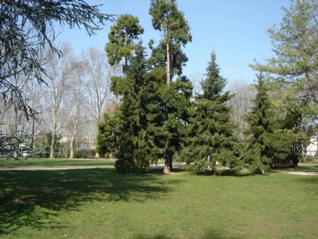 Image qui illustre: Parc Bazin