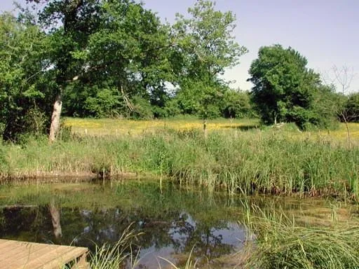 Image qui illustre: Réserve Naturelle Régionale Du Marais De Bonnefont