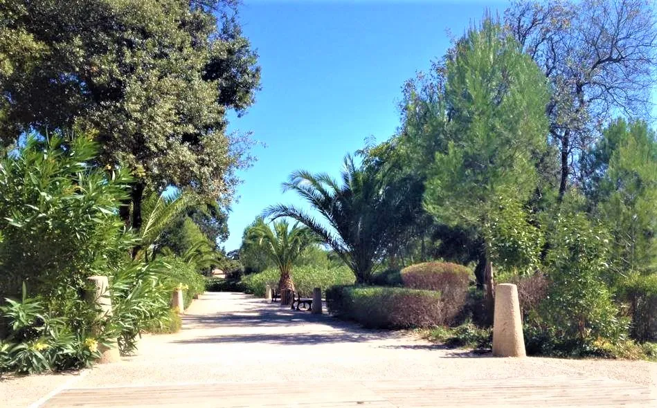 Image qui illustre: Parc Areca - Jardin botanique