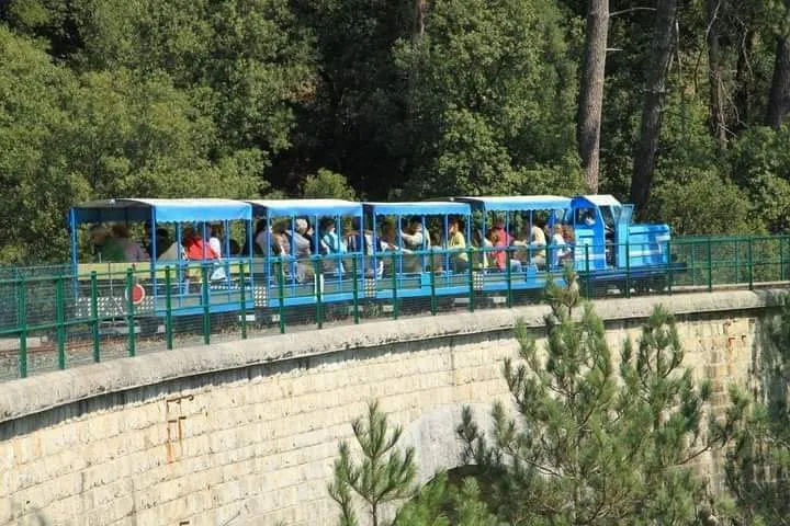 Image qui illustre: Embarquez pour le train de l'Andorge à la découverte des Cévennes ! à Sainte-Cécile-d'Andorge - 0