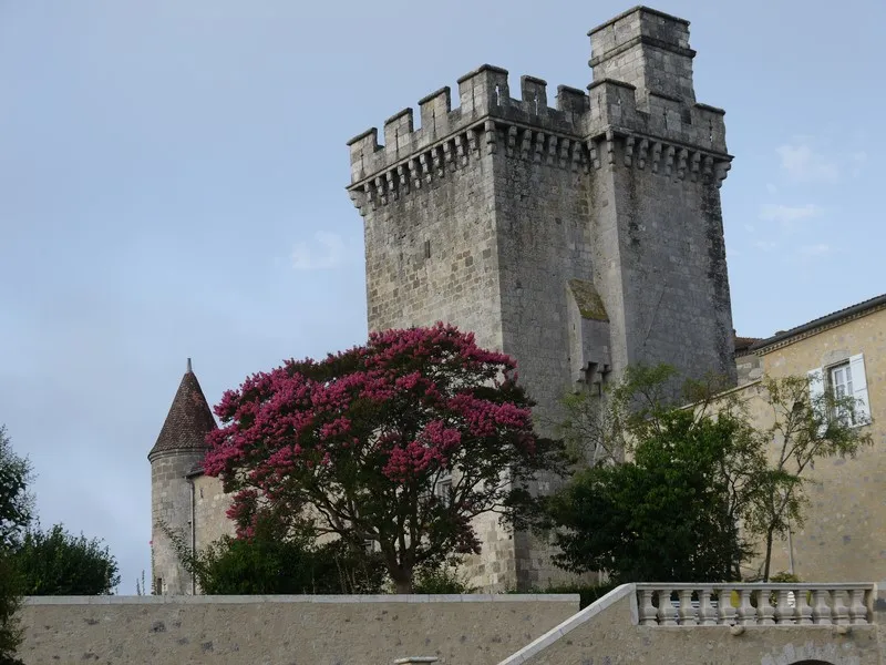 Image qui illustre: Château de Xaintrailles à Xaintrailles - 2