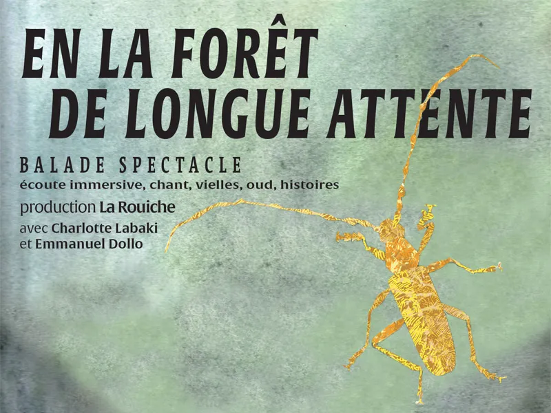 Image qui illustre: Balade - Spectacle "en La Forêt De Longue Attente" à Fontgombault - 0