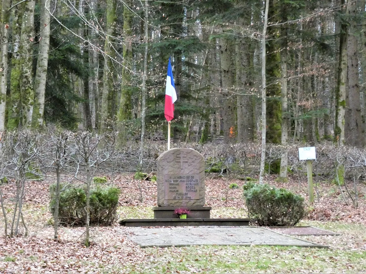 Image qui illustre: Stèle des fusillés à Cirey-sur-Vezouze - 0