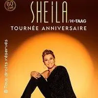 Image qui illustre: Sheila - H-Taag