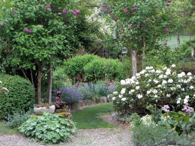 Image qui illustre: Le Jardin D'arsac