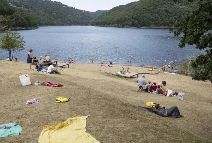 Image qui illustre: Lac de Sarrans - Laussac