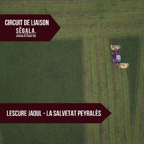 Image qui illustre: Circuit De Liaison Vtt Vae - Lescure Jaoul  /  La Salvetat Peyralès