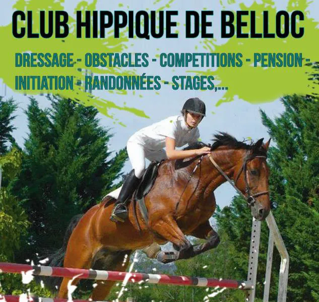 Image qui illustre: Club Hippique De Belloc à Layrac - 0