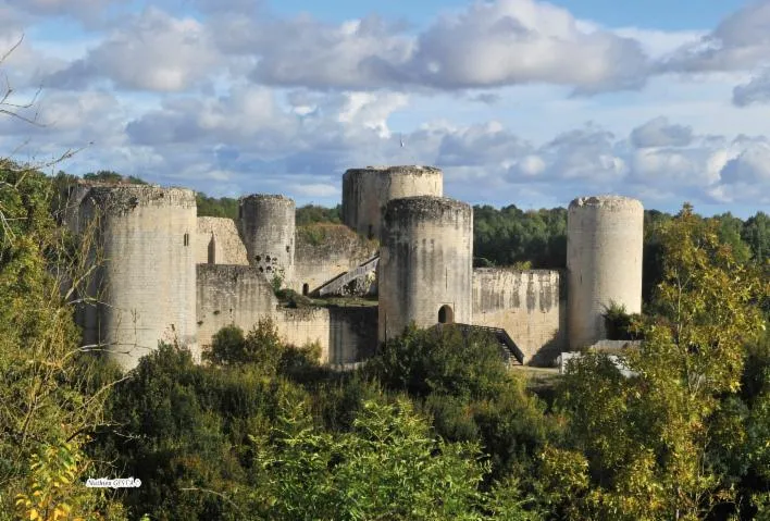 Image qui illustre: Château Du Coudray-salbart