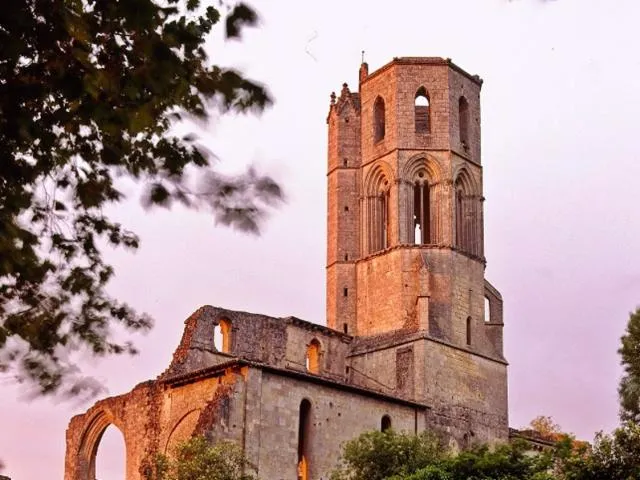 Image qui illustre: Abbaye De La Sauve-majeure