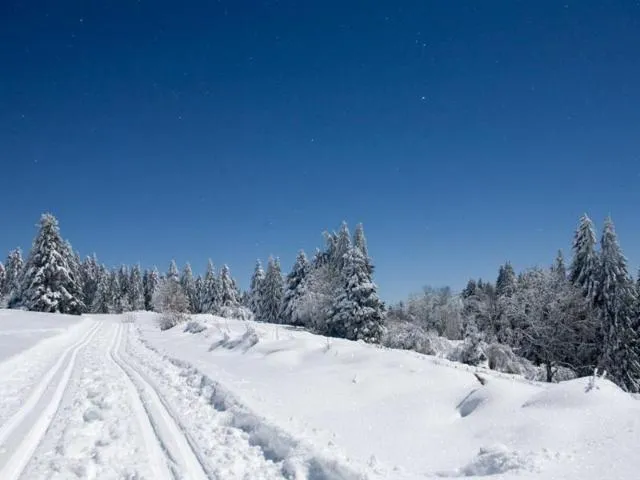 Image qui illustre: Ski Nordique Le Haut Du Tôt