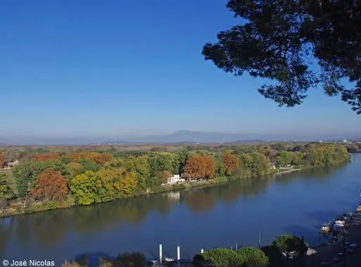 Image qui illustre: L'Île de la Barthelasse