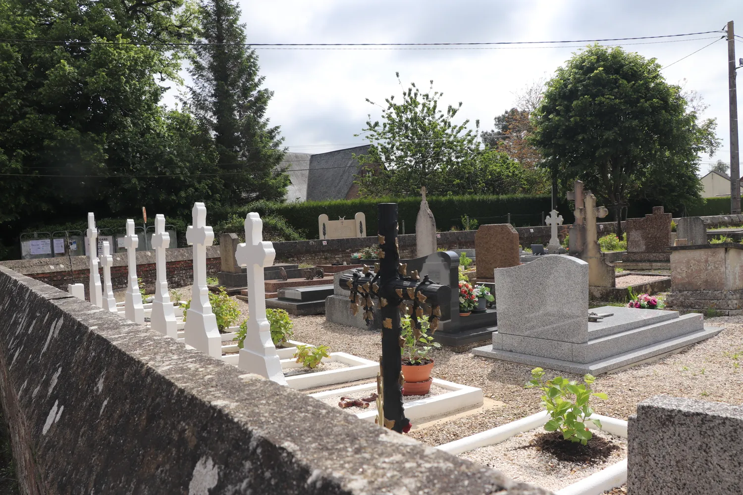 Image qui illustre: Visite guidée du cimetière à Auppegard - 0