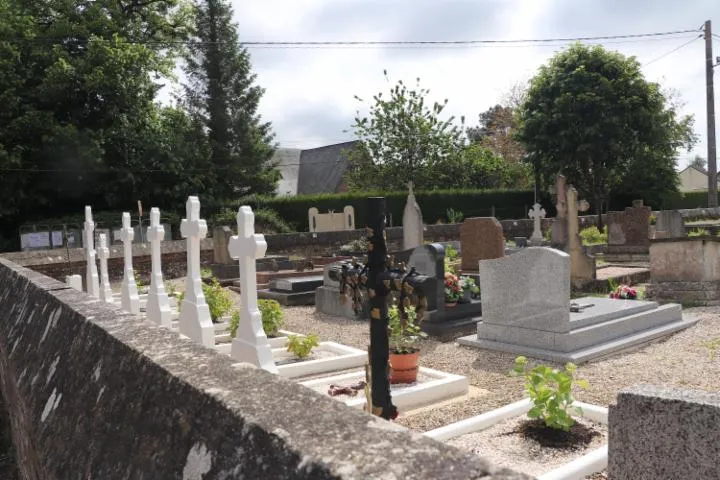 Image qui illustre: Visite guidée du cimetière