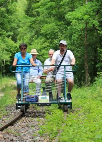 Image qui illustre: Vélorail En Forêt De Massonges