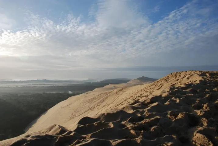 Image qui illustre: Grand Site de la Dune du Pilat