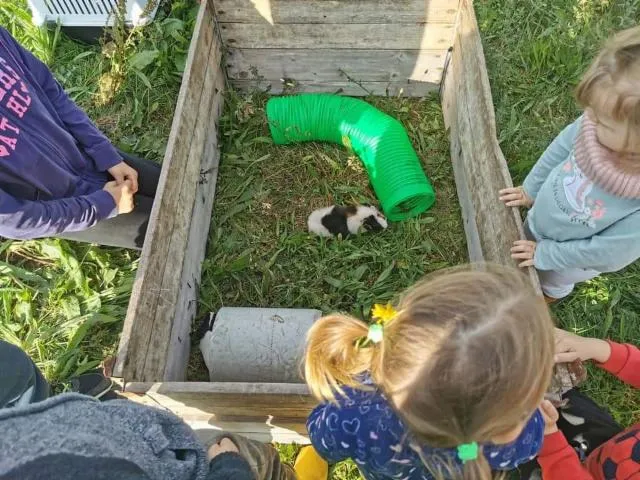 Image qui illustre: La Petite Ferme D'heïdi