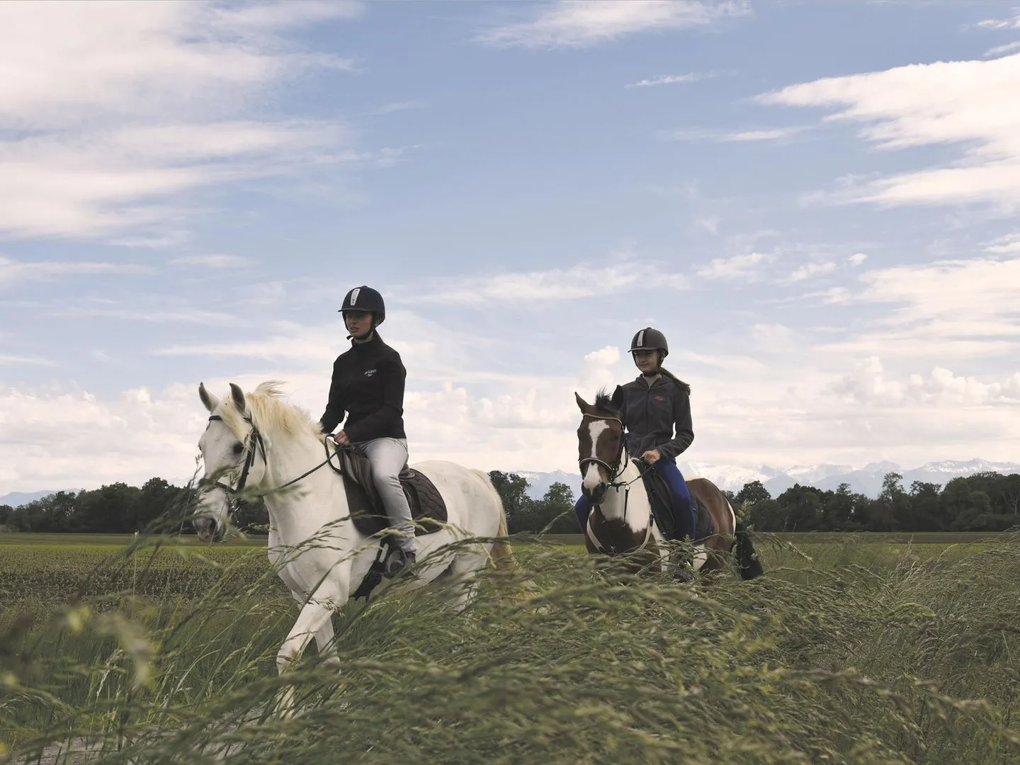 Image qui illustre: Lespourcy : Aux Portes Du VIC-bilh À Cheval à Lespourcy - 0