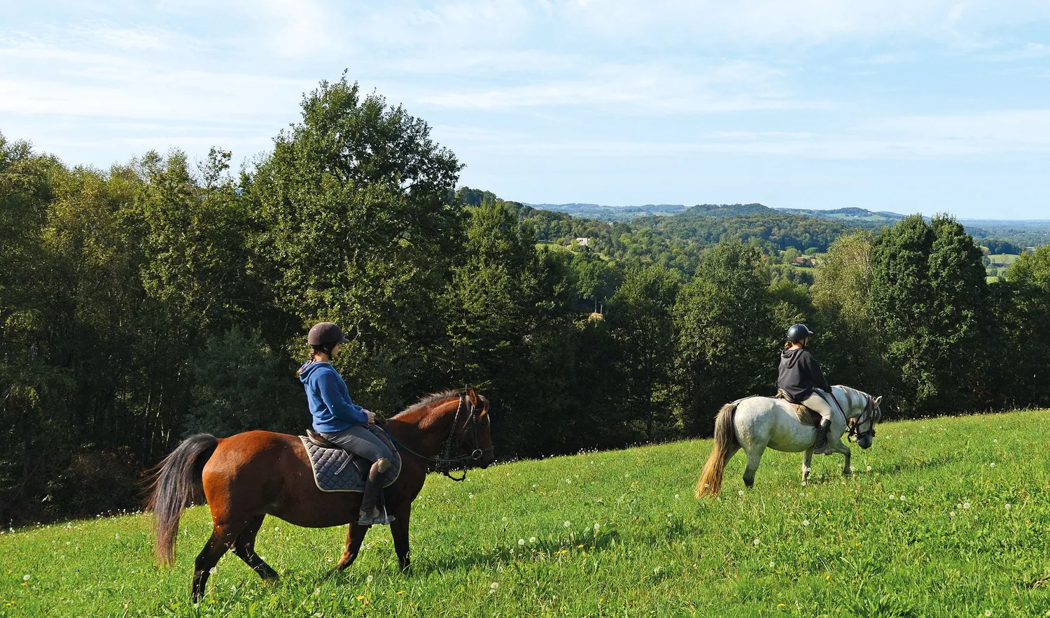 Image qui illustre: Lespourcy : Aux Portes Du VIC-bilh À Cheval à Lespourcy - 1