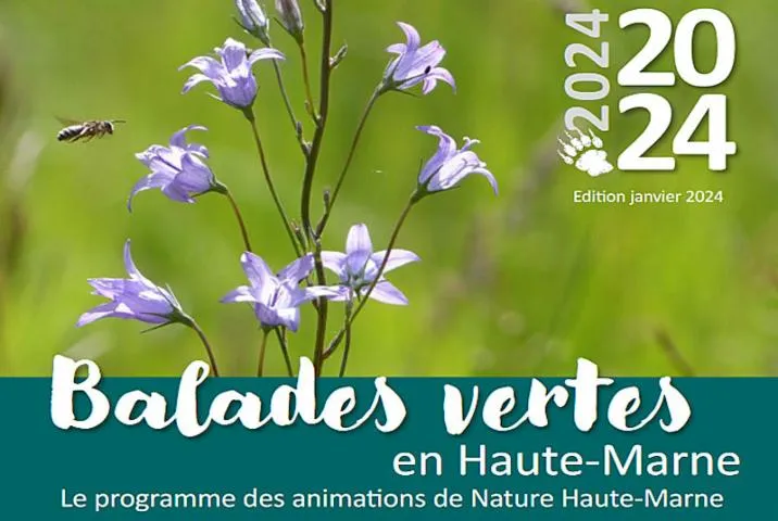 Image qui illustre: Balades Vertes En Haute-marne : A La Recherche Des Oiseaux De Plaine