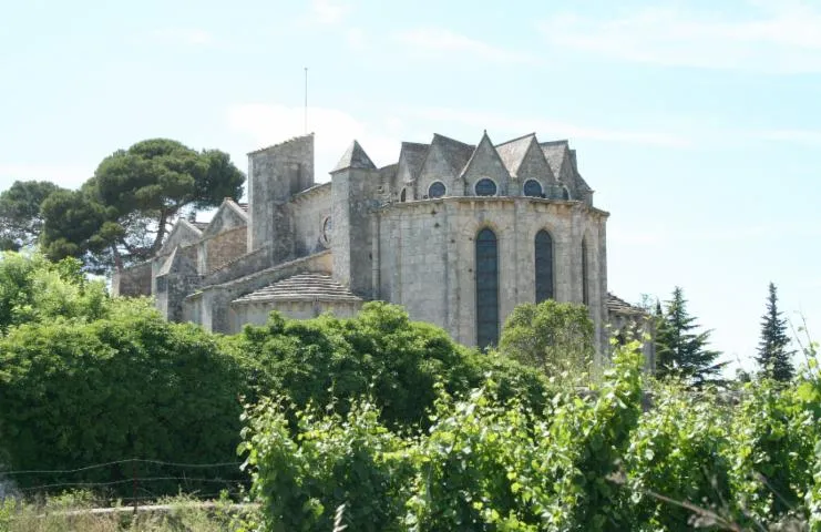 Image qui illustre: Abbaye De Vignogoul