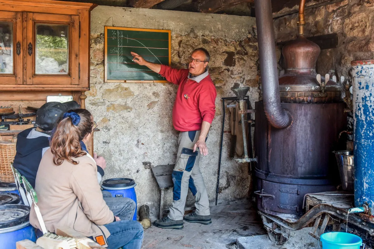 Image qui illustre: Découvrez la distillation d'eau de vie ! à Barr - 2