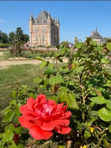 Image qui illustre: Exposition "le Val De Loire, Une Terre De Jardins"