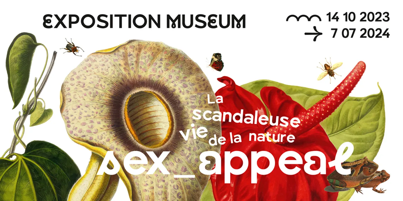 Image qui illustre: Exposition Sex-appeal, la scandaleuse vie de la nature à Toulouse - 0