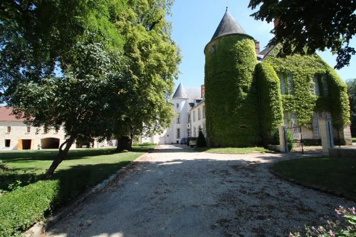 Image qui illustre: Boissy-le-sec - Château