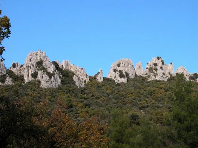 Image qui illustre: Les Dentelles de Montmirail