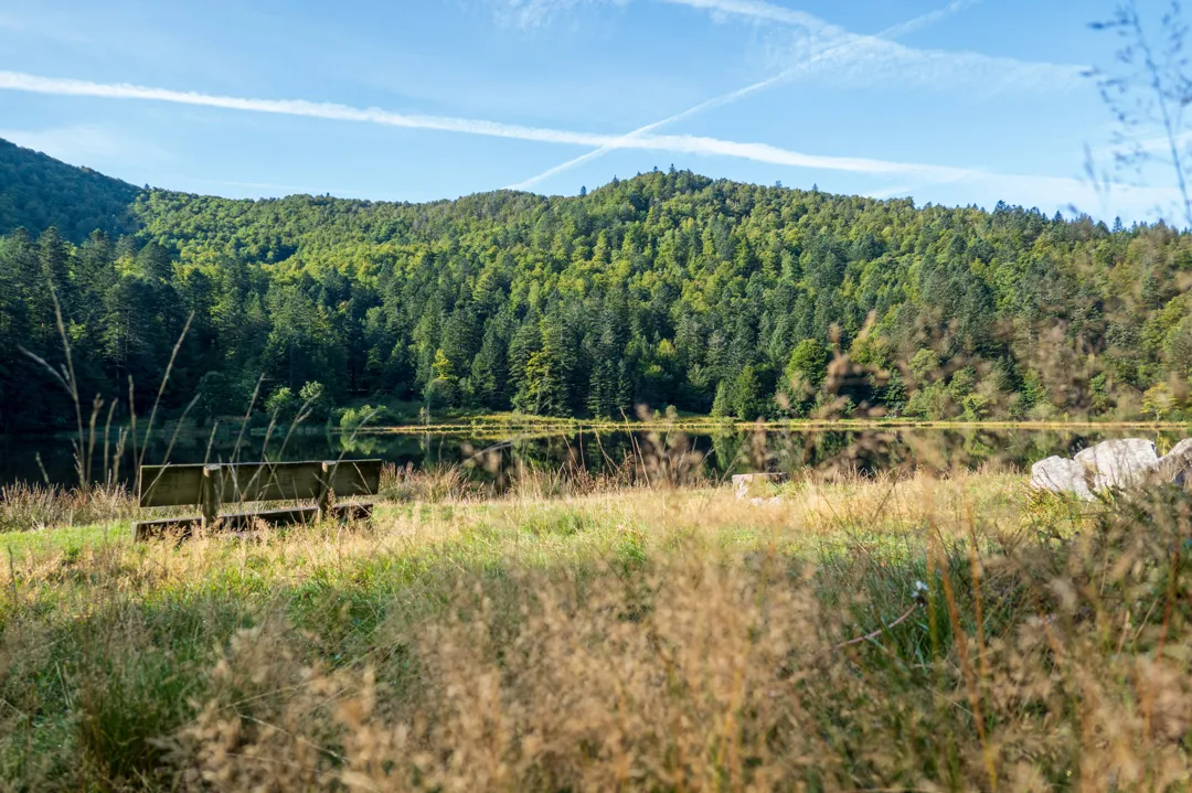 Image qui illustre: Le Lac De Blanchemer