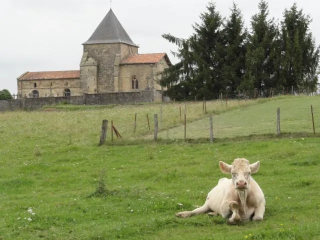 Image qui illustre: L'église Saint-Nicolas