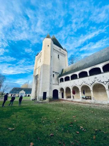 Image qui illustre: Château D'argy